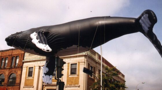 Humpback Whale Parade Balloon