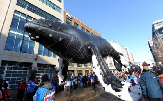 Humpback Whale Parade Balloon, 52'