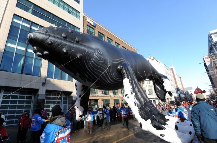 Humpback Whale Parade Balloon, 52'
