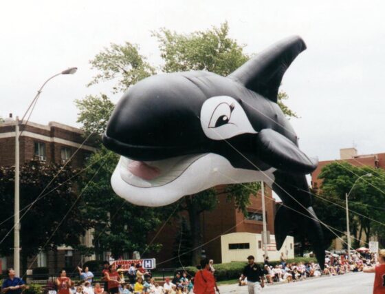 Happy Orca Whale Parade Balloon