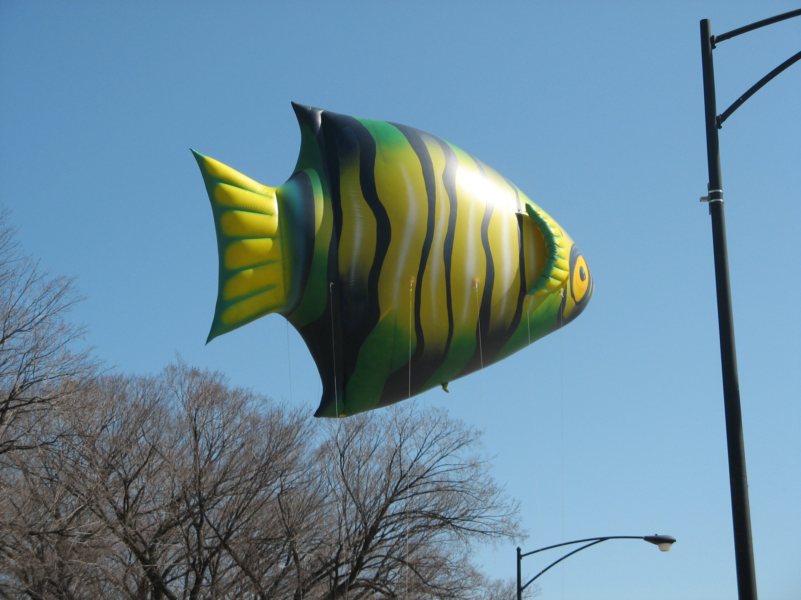 Angel Fish Parade Balloon - Fabulous Inflatables, Ocean Animals