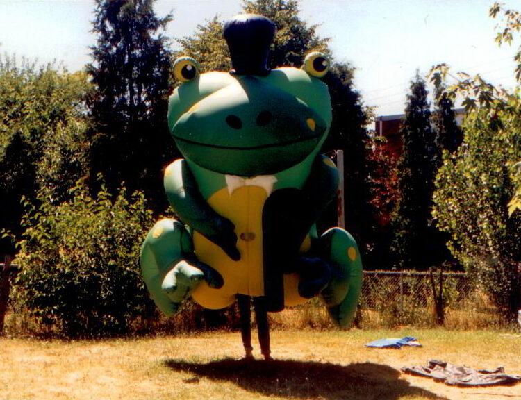 Classic Frog Inflatable Costume