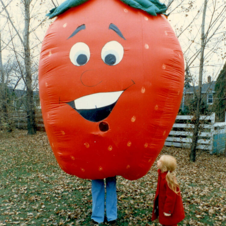 Strawberry Inflatable Costume