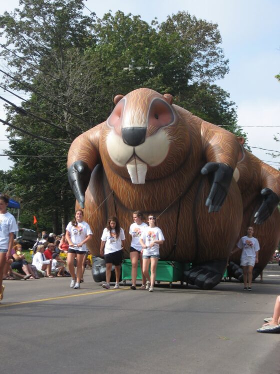 Giant Inflatable Beaver