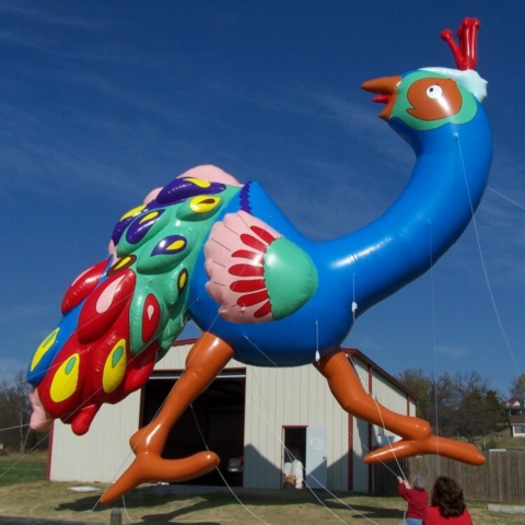 Peacock Parade Balloon