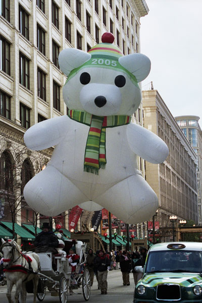 Winter Bear with Green Hat