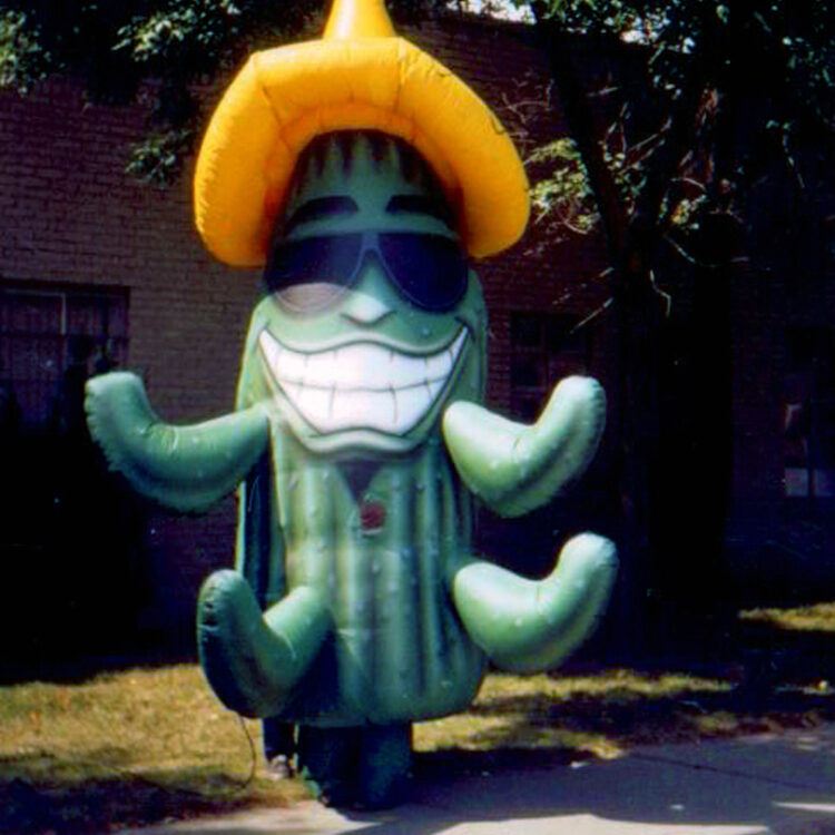 Cactus Inflatable Costume
