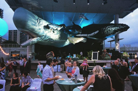 Event Decoration