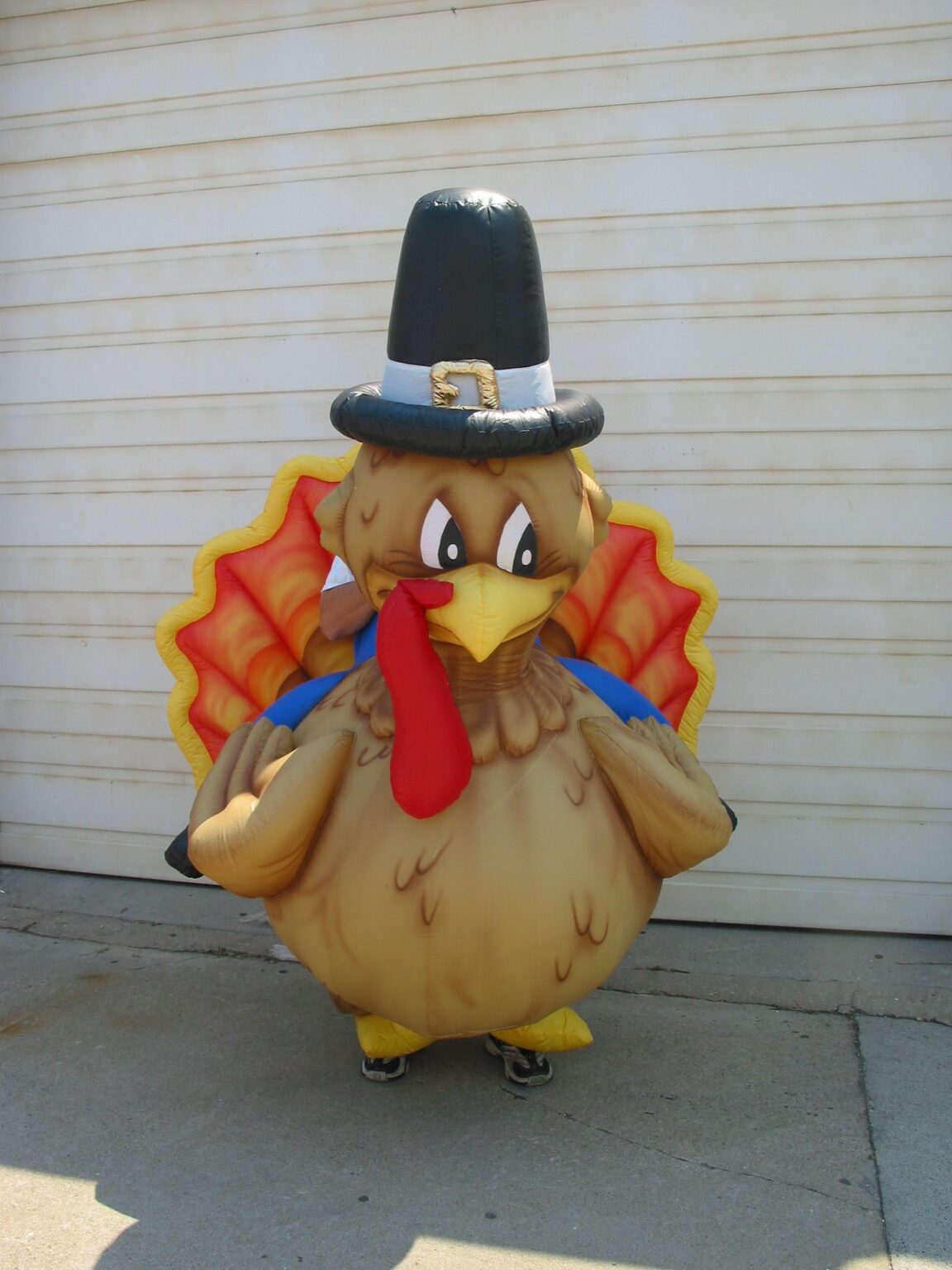 Turkey Inflatable Costume